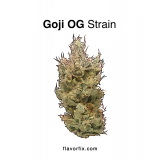 Goji OG Strain — Fruity & Fabulously Uplifting