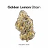 Green Goblin Strain — It’ll Get You Gliding Sky-High