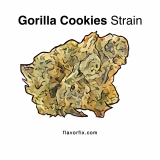Gorilla Cookies Strain — These Cookies Ain’t for Rookies
