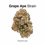 Grape Ape Strain – Full Body Stress Relief