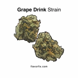 Grape Drink Strain — A Sweet Escape