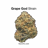 Grape God Strain — A Heavenly High