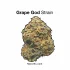 White Diesel Strain — It’s Straight Gas