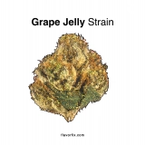 Grape Jelly Strain — The Grape Escape