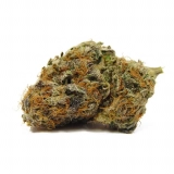 Grape Pie Strain — Get Baked and Blissful With This Tasty Pastry