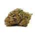 House Approves Cannabis Legislation to Protect Veterans