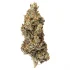 Sweet Tooth Strain — Drift Off to Some Sweet Dreams