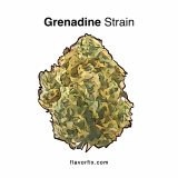 Grenadine Strain — The Cherry On Top