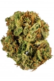 Marijuana Strains Gumbo Strain — Bubblegum Lovers Rejoice