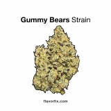 Gummy Bears Strain — Beary Goodness