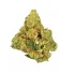 Grape Soda Strain — Strong Flavor for Grape Lovers