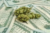 How Much Does Weed Cost? – A Comprehensive List of the Cost of Marijuana by State