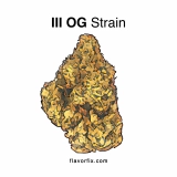 Marijuana Strains III OG Strain — Get Couch-Locked and Loaded