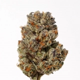 Ice Cream Man Strain — Delivering Creamy Goodness