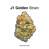 J1 Strain — Invigorating and Chill