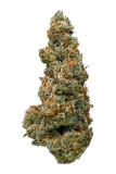 Marijuana Strains Jack Frost Strain — Frosty, Fanciful, and Fun