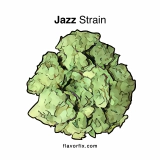 Jazz Strain — Get Jazzed and Jubilant