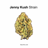 Jenny Kush Strain — A Memorial Medical Strain