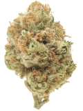 19 Weed Strains & Cocktail Pairings to Try Jillybean Strain — Energize with Tropical Fun