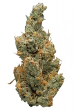Marijuana Strains Juicy Fruit Strain — The Taste (and Effects) Are Gonna Move Ya