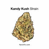 Kandy Kush Strain — Like Visiting a Candy Shop