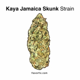 Kaya Jamaica Skunk