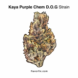 Marijuana Strains Kaya Purple Chem D.O.G.