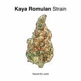 Marijuana Strains Kaya Romulan