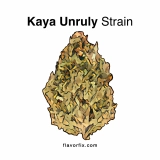 Kaya Unruly