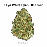 Kaya White Fyah OG