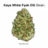 Kaya Herb House – Kingston