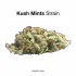 Marathon OG Strain — It’ll Keep You Lifted for a Looong Time