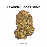 Lavender Jones Strain — It’ll Have You Jonesing for More