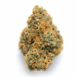 Lemon Haze Strain — Pass Your Days in a Cheerful Haze