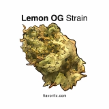 Make Lemonade with the Lemon OG Strain