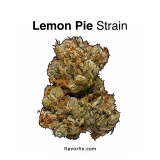 Lemon Pie Strain — A Perfect Piece of Pie