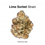 Lime Sorbet Strain — End Your Day With This Chill-Inducing Sorbet