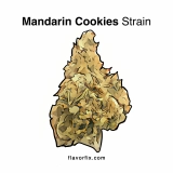 Mandarin Cookies Strain — A Sunny, Citrusy, Sativa-Heavy Stunner