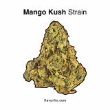 Mango Kush Strain — Good Kush