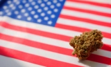 Recreational Marijuana Legalization 2024 – A State-by-State Guide