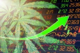 50 Interesting Marijuana Industry Statistics for 2022 And Beyond