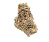 Master Kush Strain — A True Marijuana Masterpiece