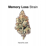 Memory Loss Strain — It’ll Throw You for a Loop