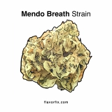 Marijuana Strains Mendo Breath Strain — Heavy and Comforting