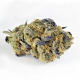 Mochi Strain — Fruity, Creamy, Uplifting Perfection