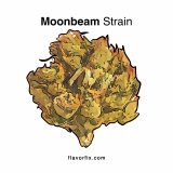 Moonbeam Strain — Take a Trip to Outer Space