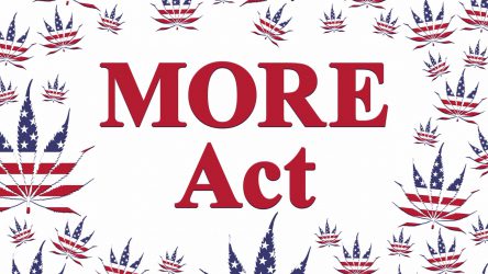 U.S House Passes MORE Act to Federally Legalize Cannabis