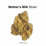 Mother’s Milk Strain — Sweet ‘n’ Soothing