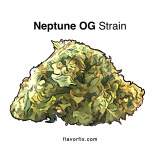 Neptune OG — Dive Deep With a Relaxing OG