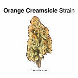 Orange Creamsicle Strain — Perfect for a Sunny Day